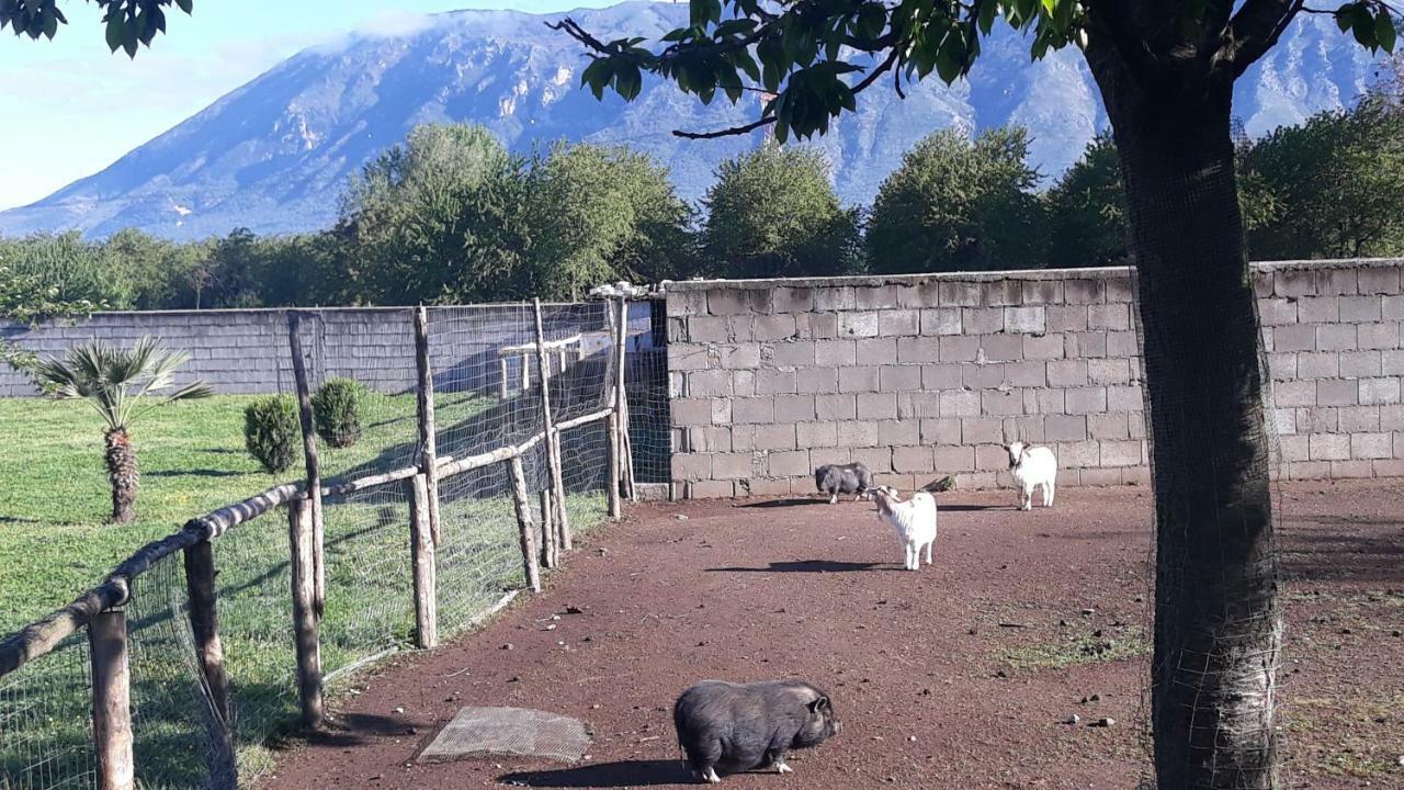 Agriturismo Carlo Cioffi Hotel Rotondi Eksteriør billede